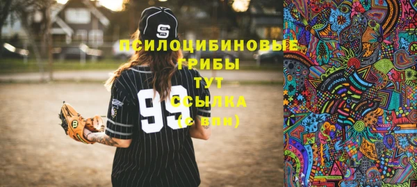 индика Михайловка