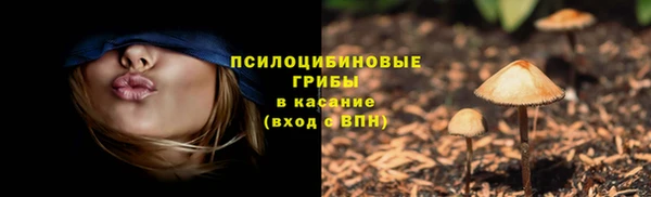индика Михайловка