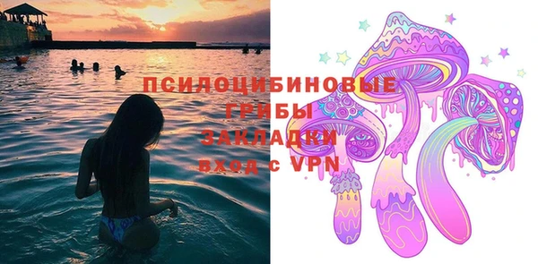 МДПВ Михайловск