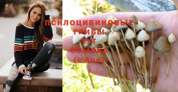 МДПВ Михайловск