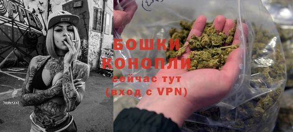 индика Михайловка