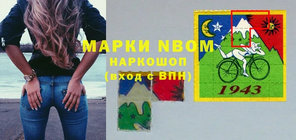 индика Михайловка