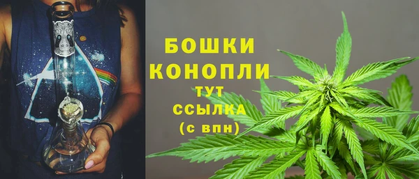 индика Михайловка