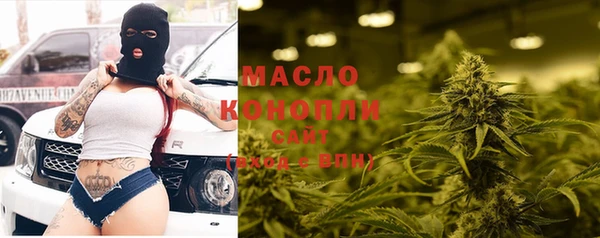 индика Михайловка