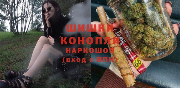 индика Михайловка